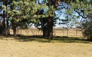 14 ha Agricultural Holding in Morgenzon