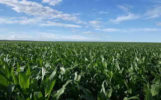 568 ha Farm in Harrismith