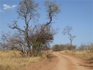 1350 m² Land available in Kranspoort