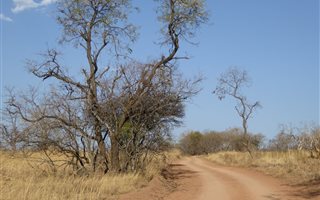 1350 m² Land available in Kranspoort