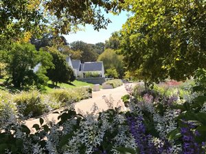 1222 m² Land available in Constantia