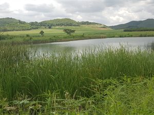 113 ha Farm in Malelane