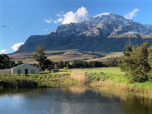 11 ha Farm in Worcester and surrounds