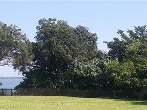 1070 m² Land available in Mzingazi Golf Estate