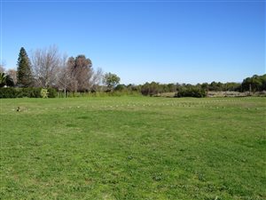 940 m² Land available in Natures Valley