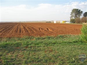437 ha Farm in Ventersdorp