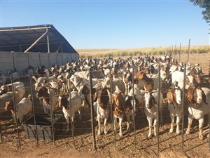 45 ha Farm in New Hanover
