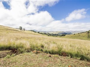 1 ha Land available in Dullstroom