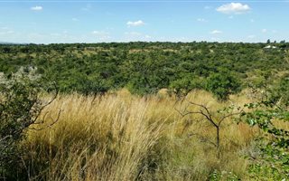 24.7 ha Farm in Lynnwood
