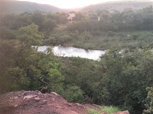 1000 m² Land available in Presidentsrus