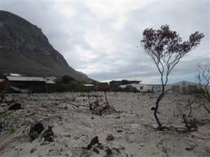 1494 m² Land available in Bettys Bay