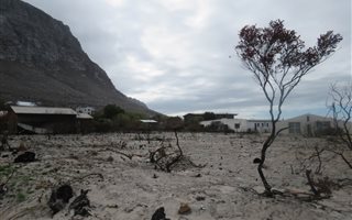 1494 m² Land available in Bettys Bay