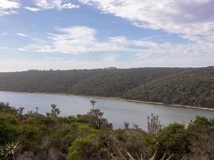 1 ha Land available in Boesmansriviermond