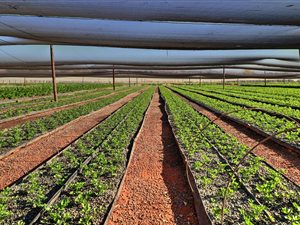 Commercial space in Muldersdrift