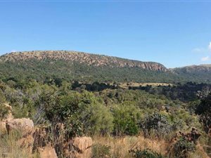 1437.1 ha Farm in Modimole (Nylstroom)