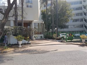 3 Bed Apartment in Melrose