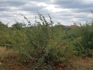 408 m² Land available in Marblehall