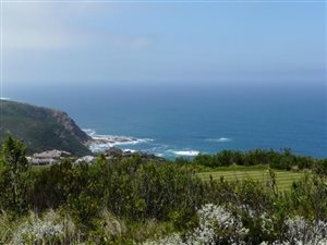 1031 m² Land available in Pezula Golf Estate