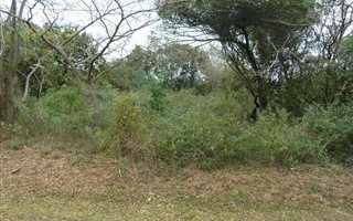 1654 m² Land available in Crestholme