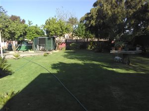 3 Bed House in Oos-Einde