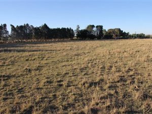 4.3 ha Farm in Bethlehem