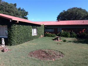 10 ha Farm in Vissershoek