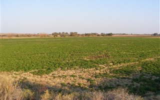29 ha Farm in Louisvale