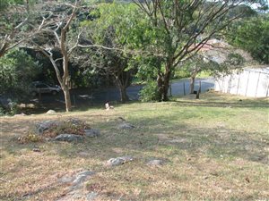 1013 m² Land available in Pennington