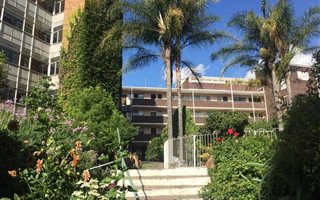 1 Bedroom Apartment in Parkview