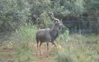 6711 m² Land available in Kshane Lake Lodge