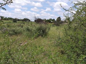 1074 m² Land available in Kuruman