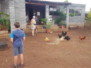 4 ha Farm in Bela-Bela (Warmbaths)