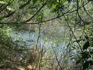 5 ha Land available in Mooiplaats AH