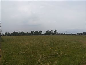 2.1 ha Land available in Meyerton