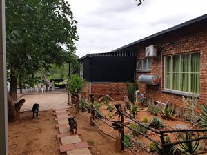 49.2 ha Farm in Musina