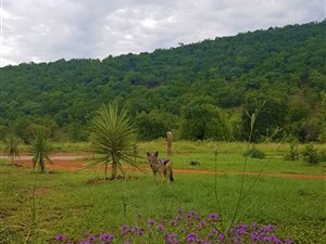 1200 m² Land available in Kranspoort