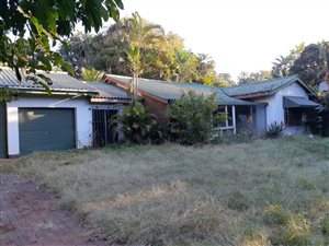 5 Bed House in Palm Beach