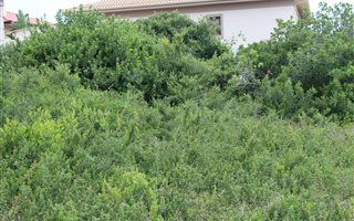 539 m² Land available in Reebok