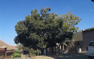 4 Bedroom House in Pentagon Park