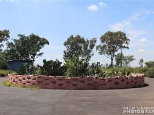 5 Bed House in Sallies Village