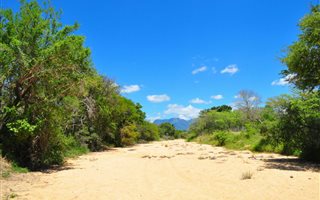 1.2 ha Land available in Hoedspruit