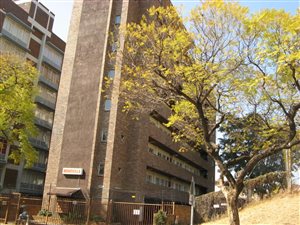 1 Bed Apartment in Sunnyside