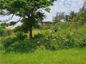 1012 m² Land available in Tinley Manor and surrounds