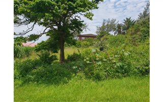 1012 m² Land available in Tinley Manor and surrounds
