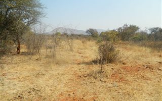 995 m² Land available in Seasons Lifestyle Estate