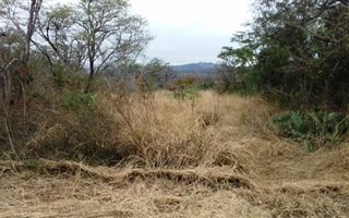 1.4 ha Land available in Ashburton