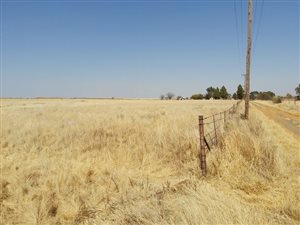 5.5 ha Land available in Lakeview