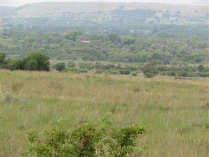 5 ha Land available in Mooiplaats AH