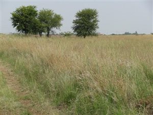 5 m² Land available in Mooiplaats AH
