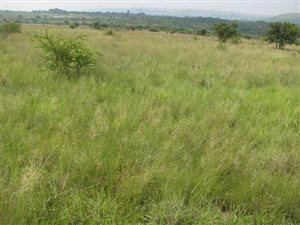 5 ha Land available in Mooiplaats AH